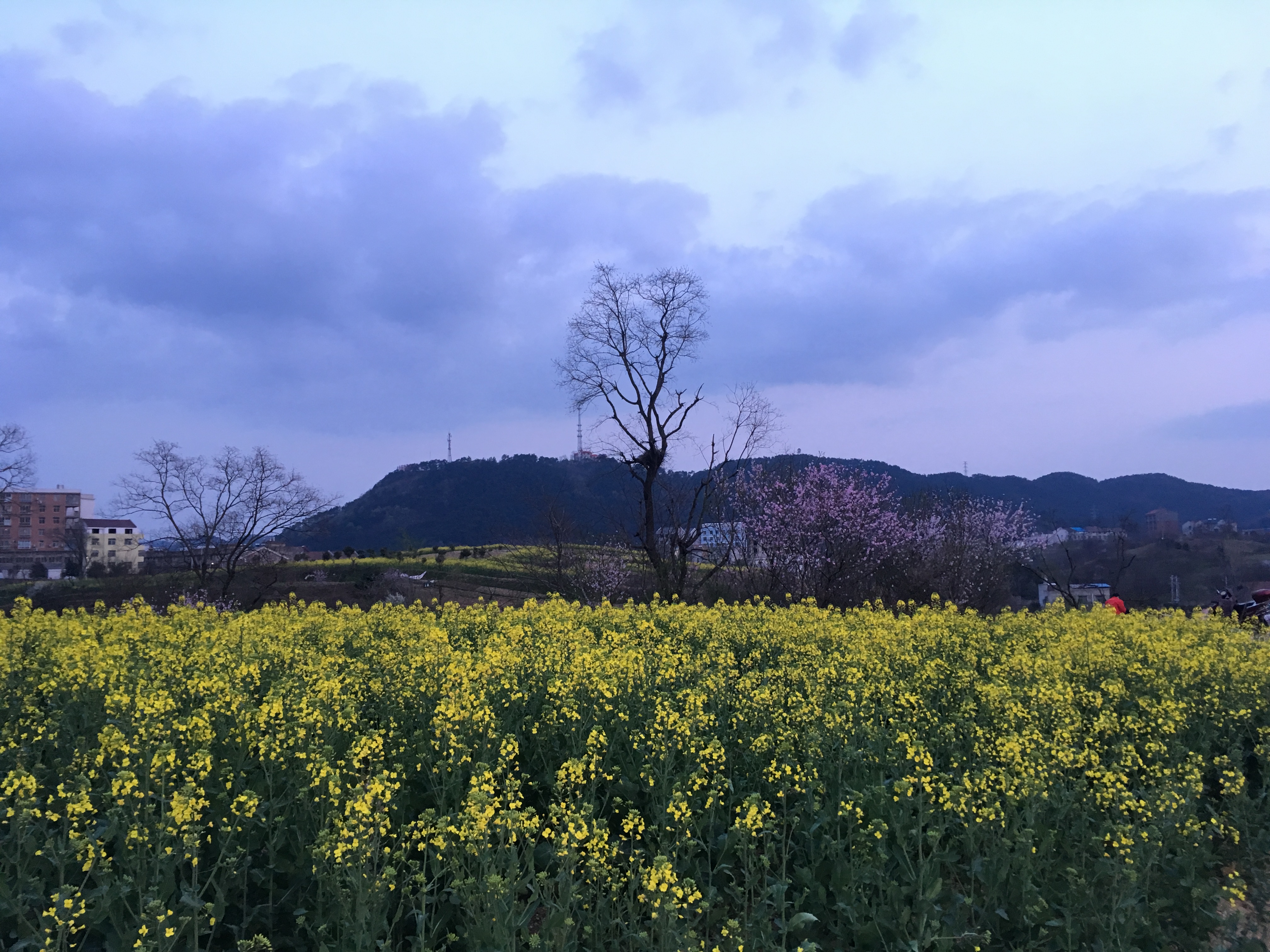 spring